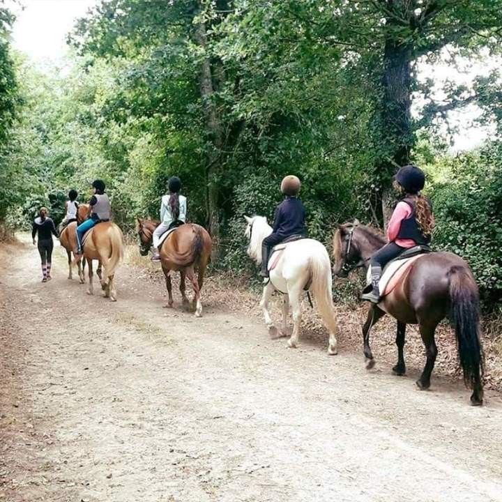 Promenade à cheval Saint-Révérend