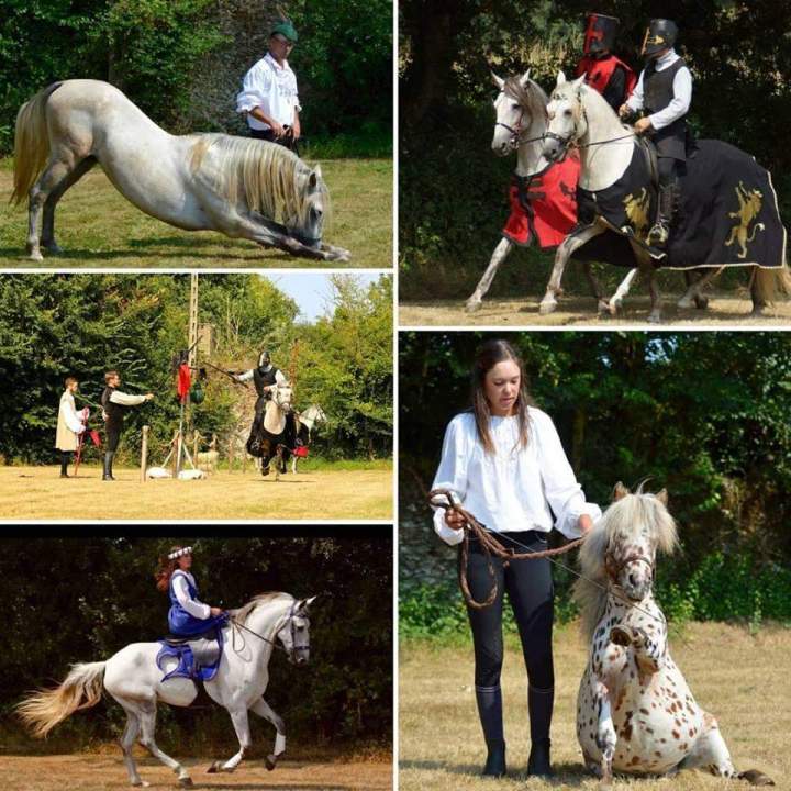 Divers spectacle équestre Saint-Révérend