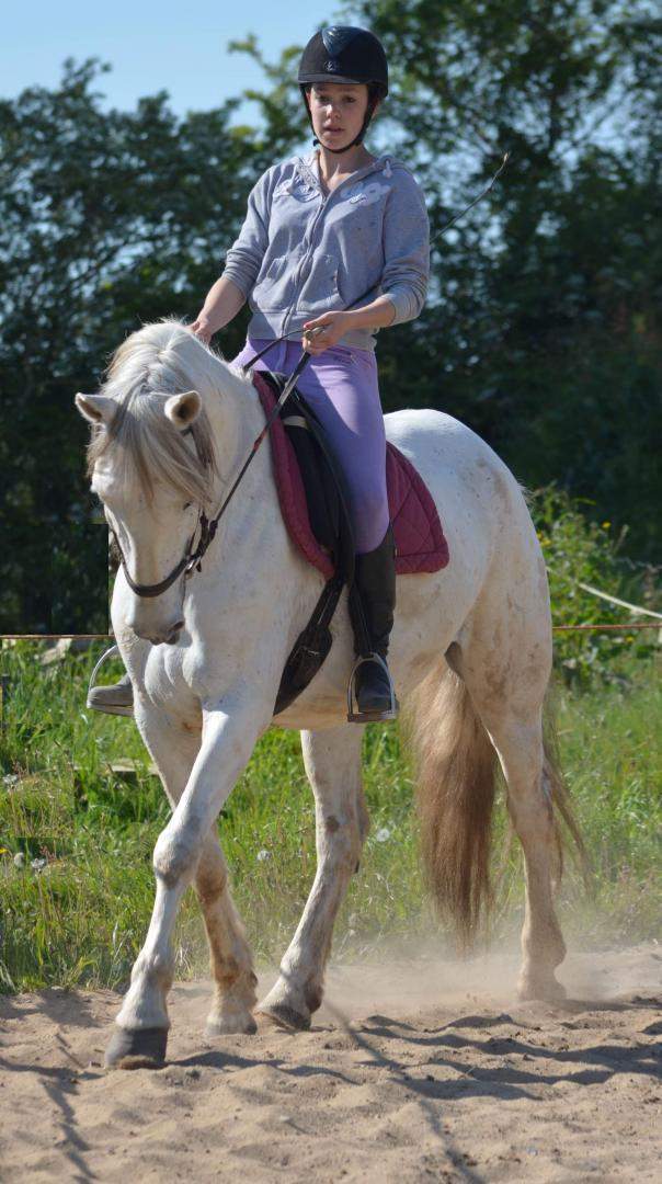 Stage d'initiation à l'équitation Saint-Révérend