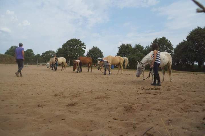 Apprentissage équestre Saint-Révérend