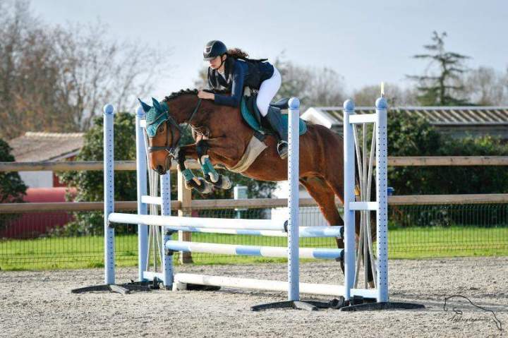 Saut d'obstacle Saint-Révérend