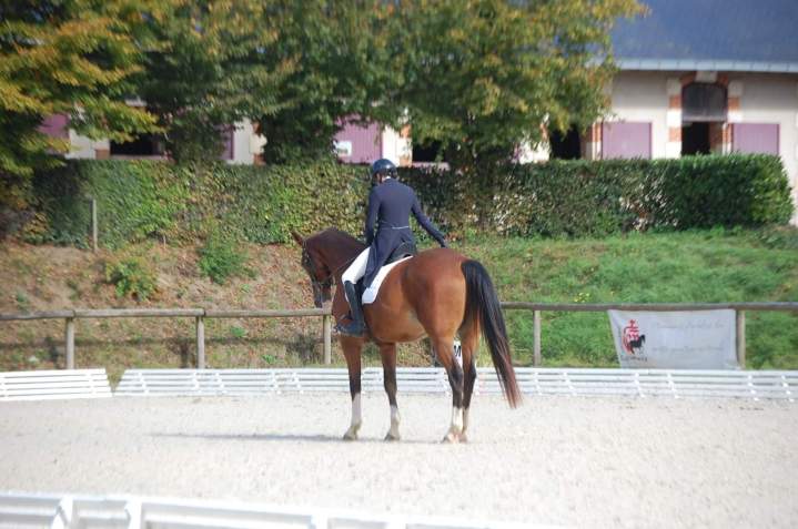 Cours d'équitation Saint-Révérend