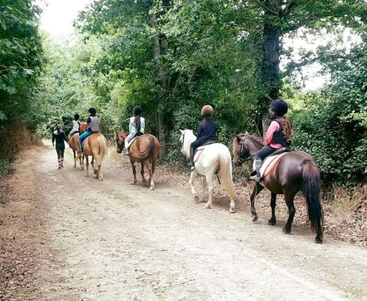 Balade à cheval à la campagne Saint-Révérend