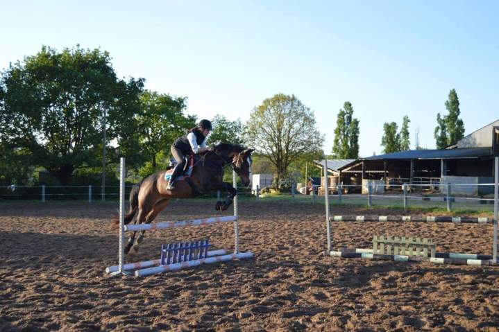 Stage de passage de galop Saint-Révérend