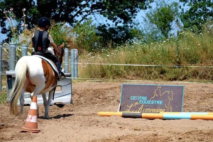 Expérience en équitation Saint-Révérend