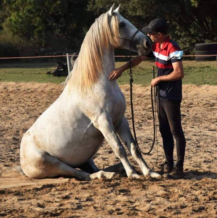 Dupont Julien Saint-Révérend