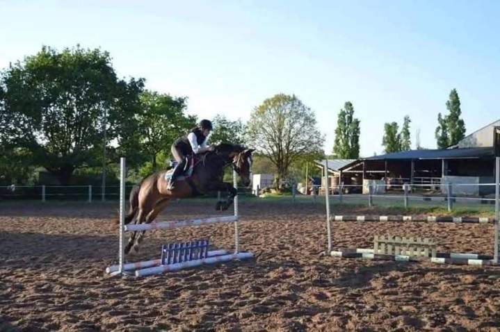 Une équipe professionnel pour les cours d'équitation Saint-Révérend