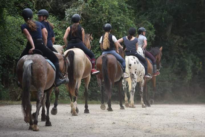 Balade à cheval en pleine nature Saint-Révérend