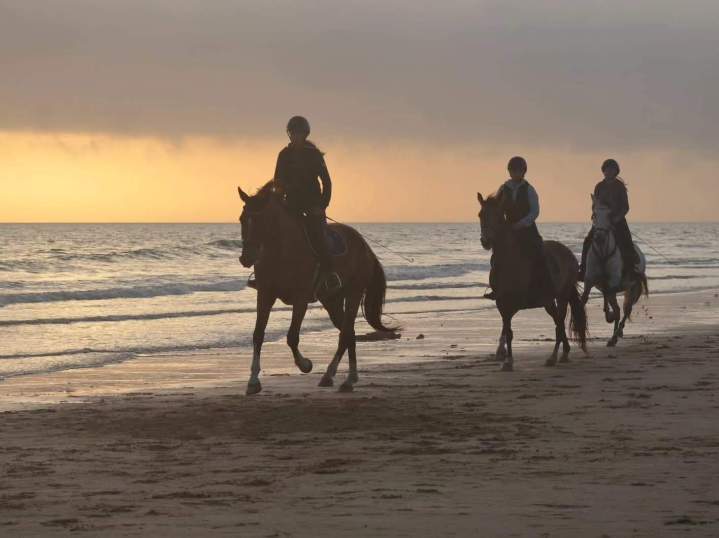 Balade à cheval le long de la plage Saint-Révérend