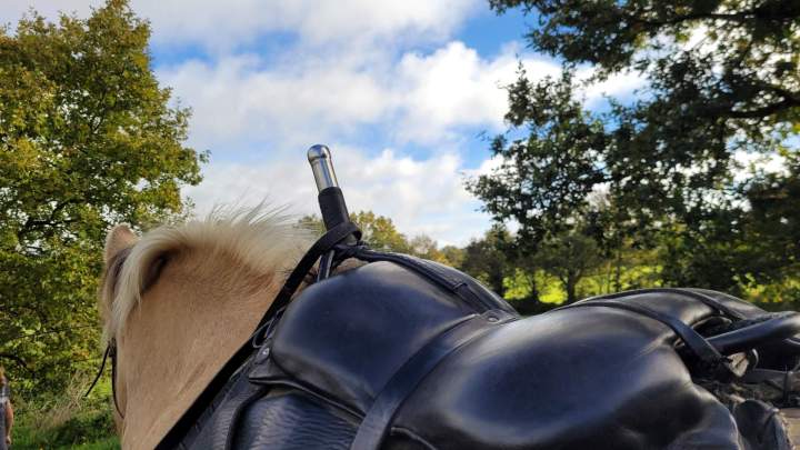 Stage équitation enfant Saint-Révérend
